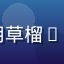 用户头像，一位使用草榴app的成年男性用户