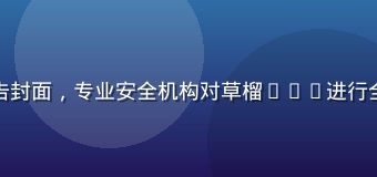 草榴app安全评测报告封面，专业安全机构对草榴app进行全面安全审计的结果展示